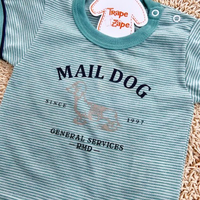 Conj. Camiseta Mail Dog e Bermuda - Verde